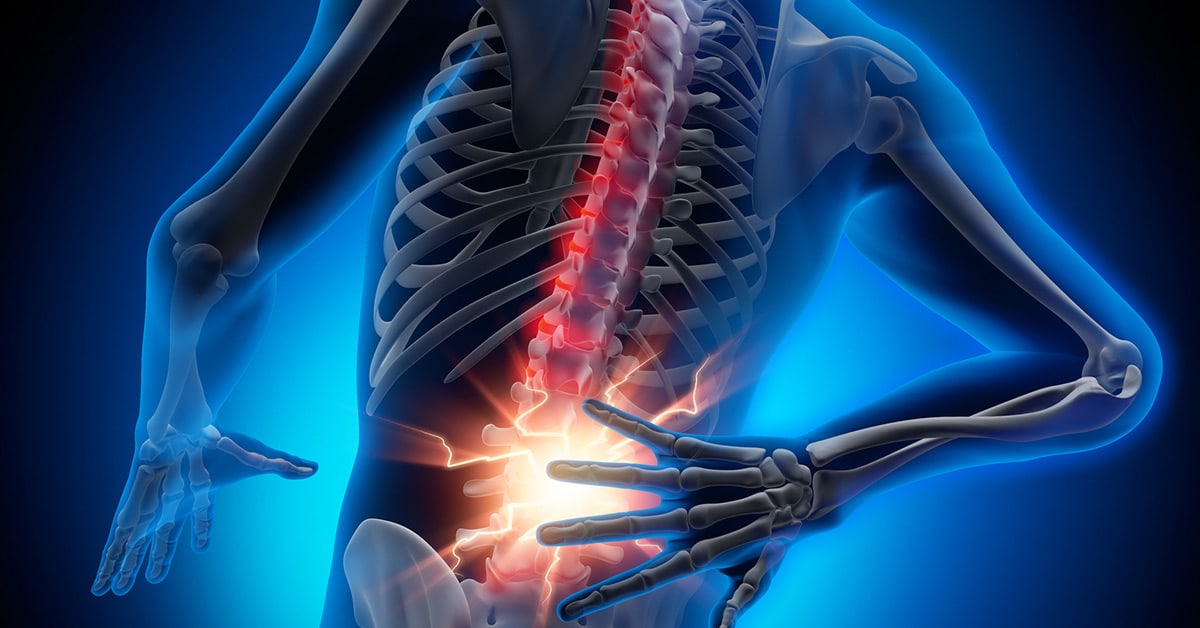 skeleton illustrating lower back pain